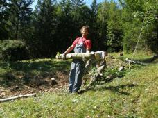 Klik za večjo sliko